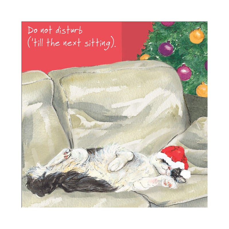 Do Not Disturb - Comical Christmas Cards by The Little Dog Company