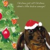 Festive Sausage - Comical Christmas Cards by The Little Dog Company