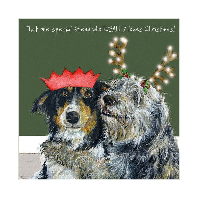 Special Friend - Comical Christmas Cards by The Little Dog Company