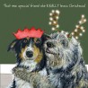 Special Friend - Comical Christmas Cards by The Little Dog Company