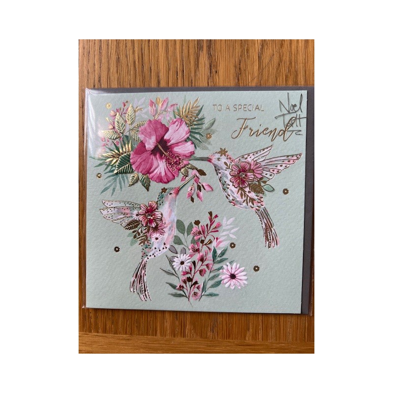 Special Friend Blank Greeting Card