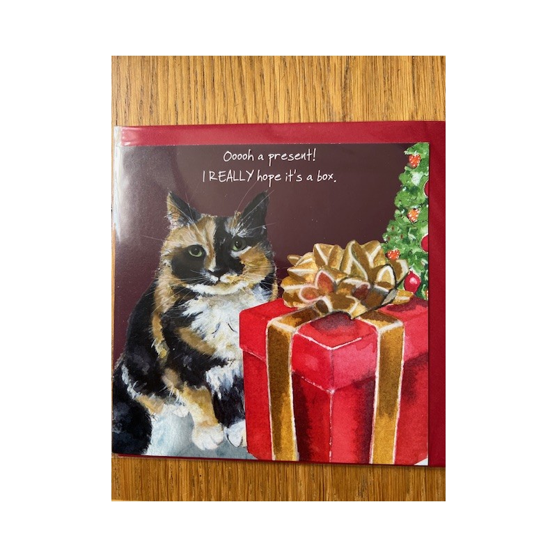 Present Box - Comical Christmas Cards by The Little Dog Company