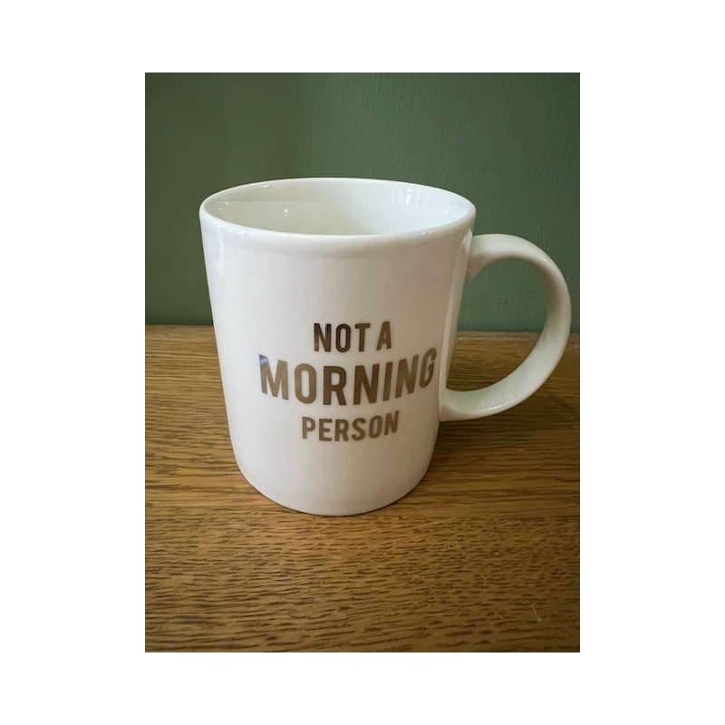 Not a Morning Person Mug