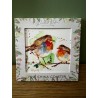 Winter Robin standing Ceramic Coaster