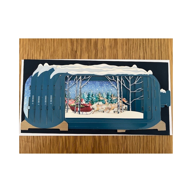 Message in a Bottle 3D Santa in Woods Christmas Card