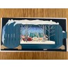 Message in a Bottle 3D Santa in Woods Christmas Card