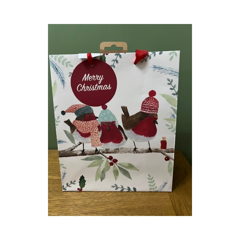 Festive Robins Christmas Medium Gift Bag