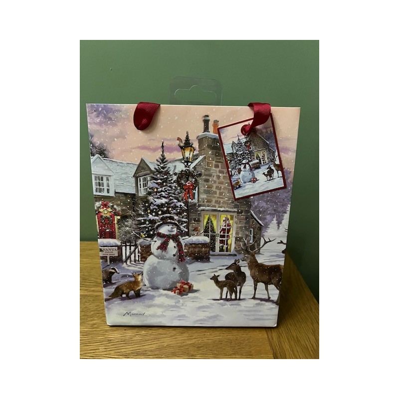 Macneil Christmas Magic Medium Gift Bag