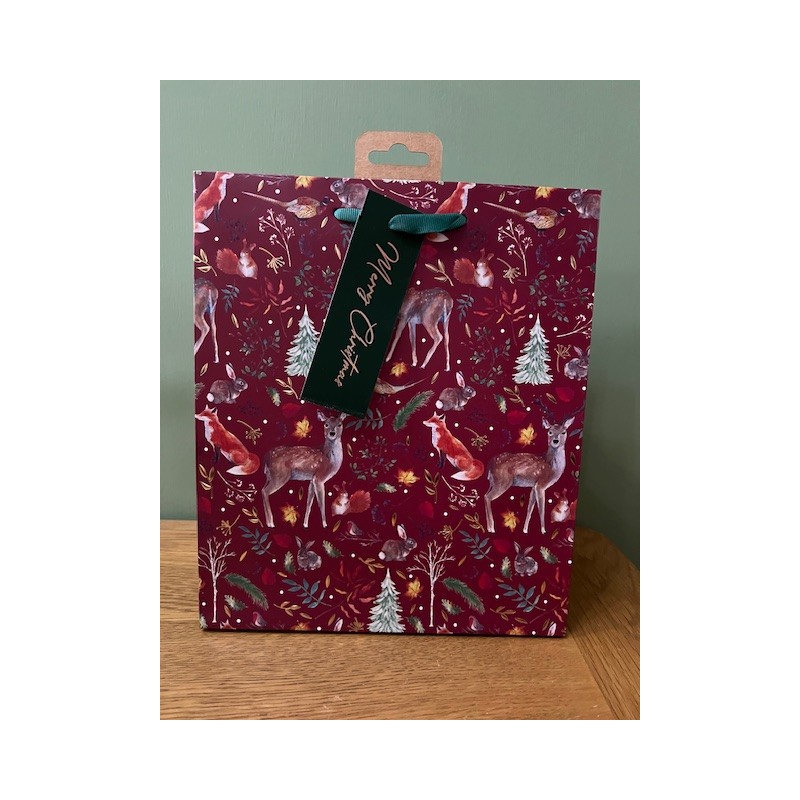 Forest Friends Medium Gift Bag by Eurowrap