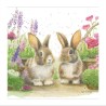 Bree Merryn Blank Greeting Card Rocket and Rhubarb
