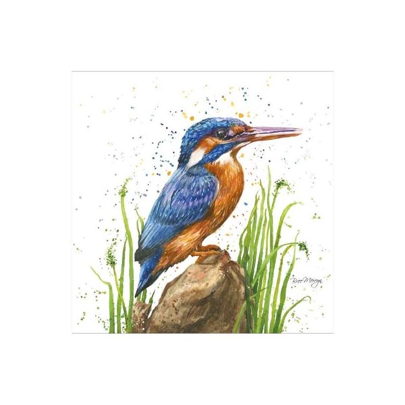 Bree Merryn Blank Greeting Card Kiera Kingfisher