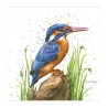 Bree Merryn Blank Greeting Card Kiera Kingfisher
