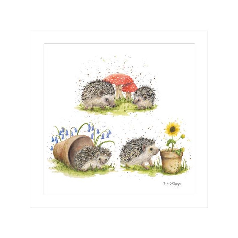 Bree Merryn Blank Greeting Card Hedgehog Harmony