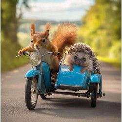 Cube Blank Greeting Card...