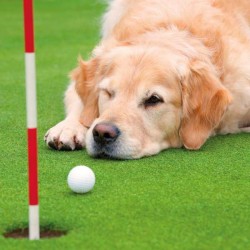 Cube Blank Greeting Card...