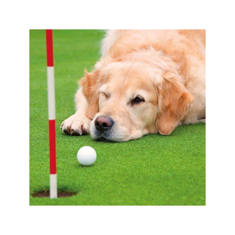 Cube Blank Greeting Card Done Retrievin'