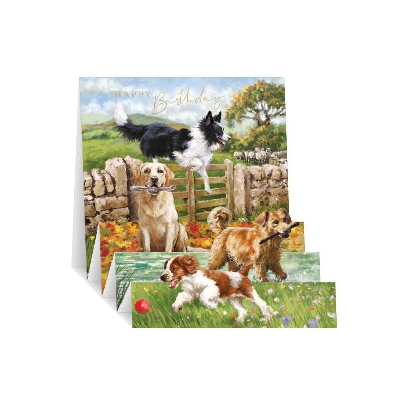 Zig Zag Birthday 3D Pop Up Greeting Card Dogs