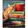 Pack of 4 Small Blank Cards- Cat and Pile of Books