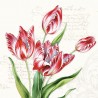 Classic Tulips Napkins